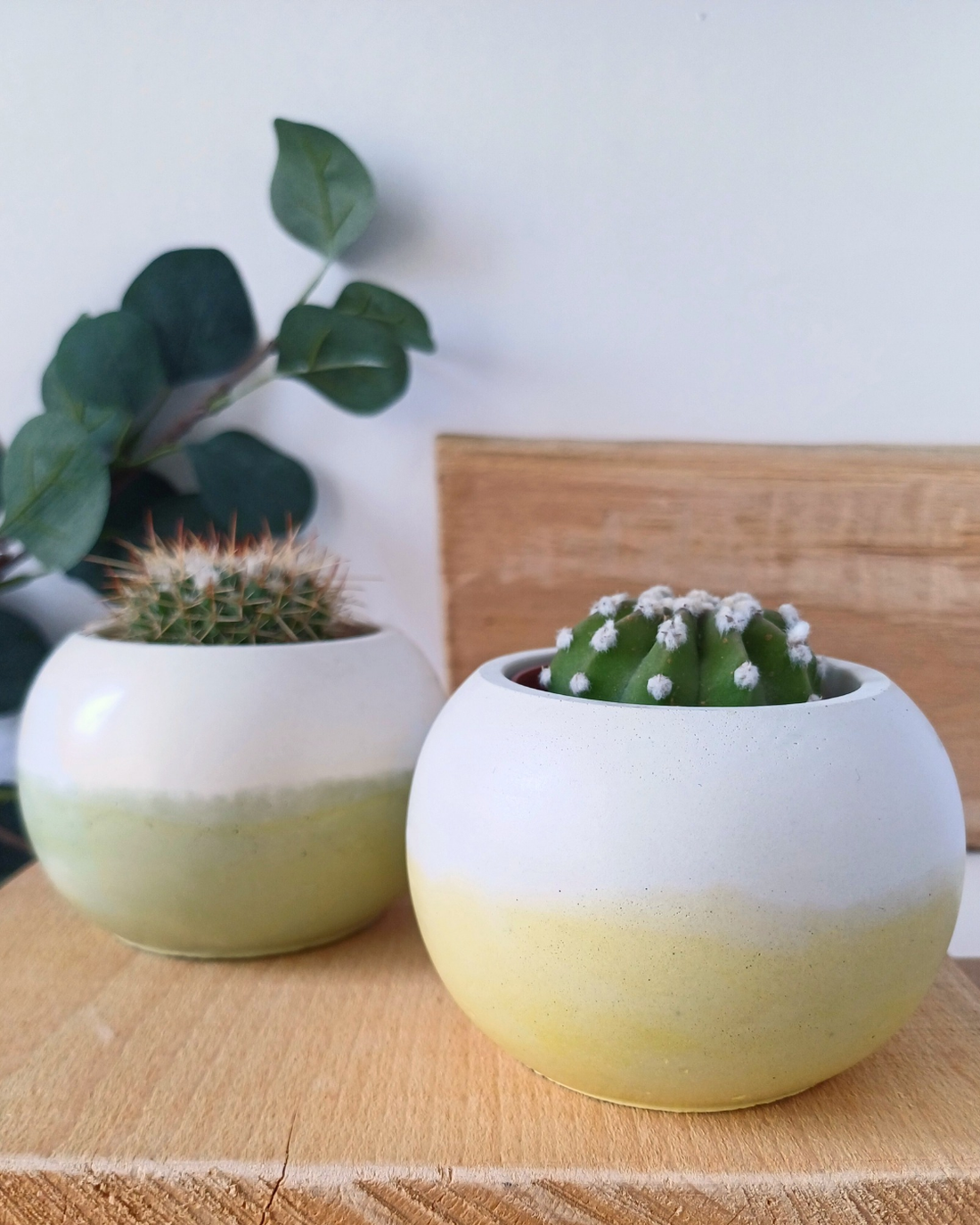 Vas - Ghiveci Bubble Color Block din beton - casă & stil de viață - accesorii pentru decorat casa - suport de flori - ghiveci și jardiniere - Artynos.ro Vas - Ghiveci Bubble Color Block din beton - casă & stil de viață - accesorii pentru decorat casa - suport de flori - ghiveci și jardiniere - Artynos.ro
