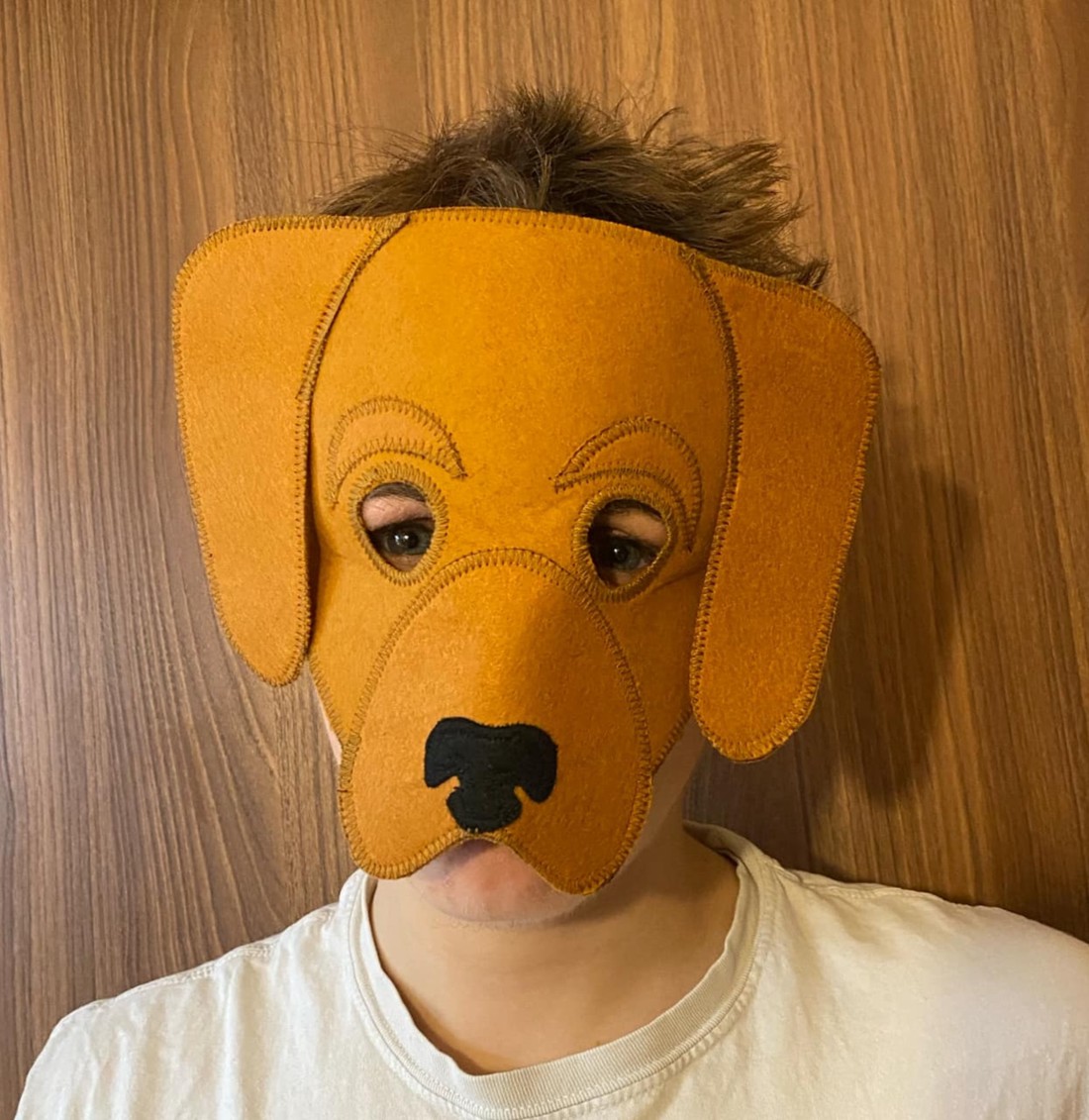 Vizsla mască de câine și coadă din pâslă - - Artynos.ro Vizsla mască de câine și coadă din pâslă - - Artynos.ro