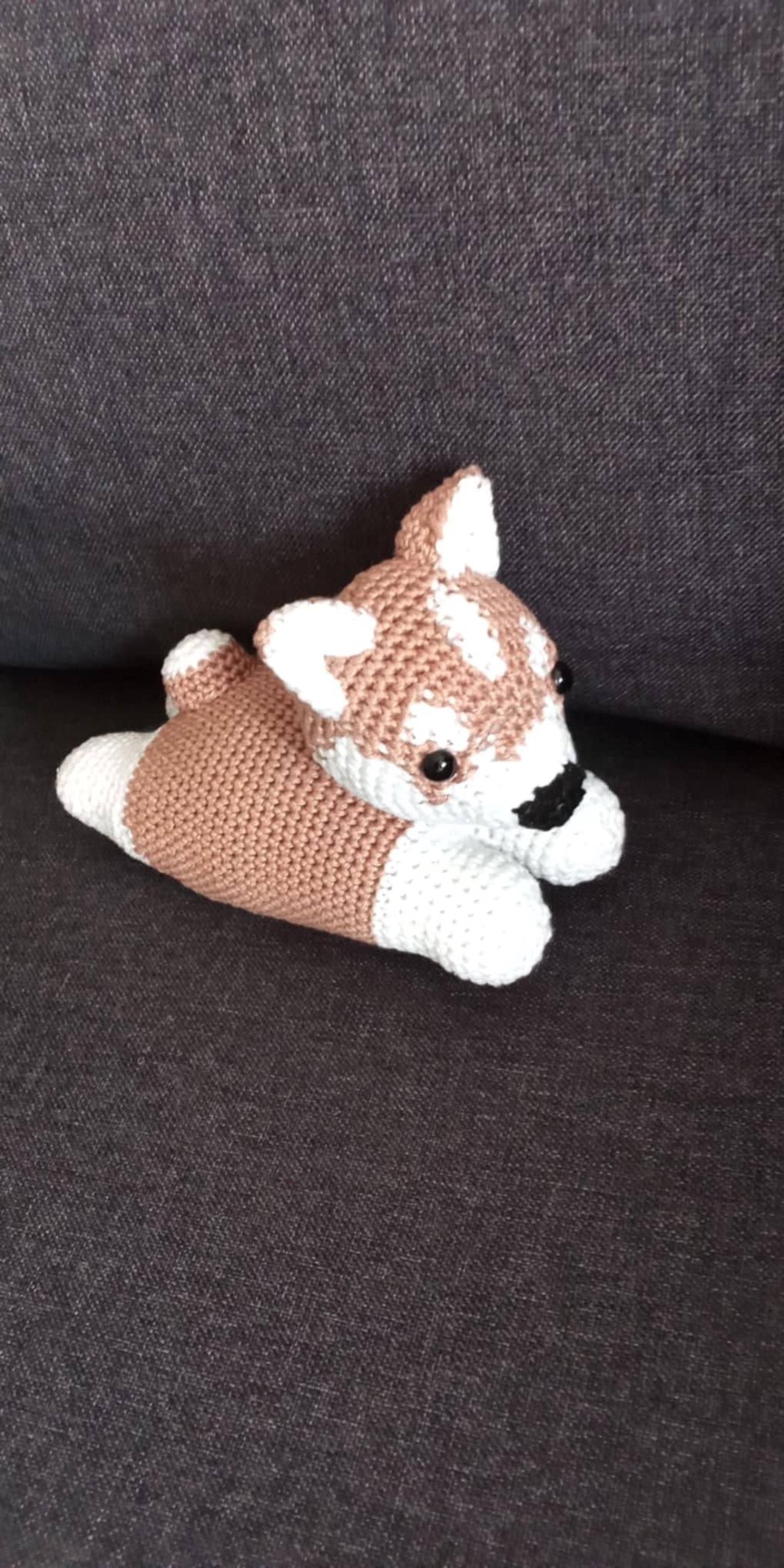 Husky - jucării și echipamente pentru copii - plușuri - câine de pluș - Artynos.ro Husky - jucării și echipamente pentru copii - plușuri - câine de pluș - Artynos.ro