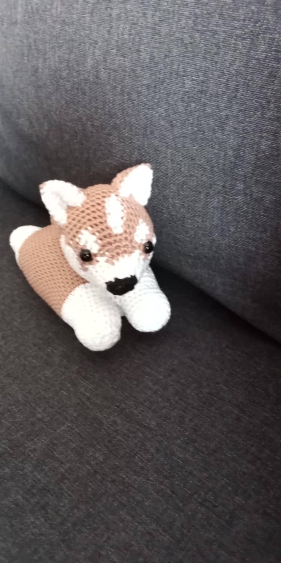 Husky - jucării și echipamente pentru copii - plușuri - câine de pluș - Artynos.ro Husky - jucării și echipamente pentru copii - plușuri - câine de pluș - Artynos.ro