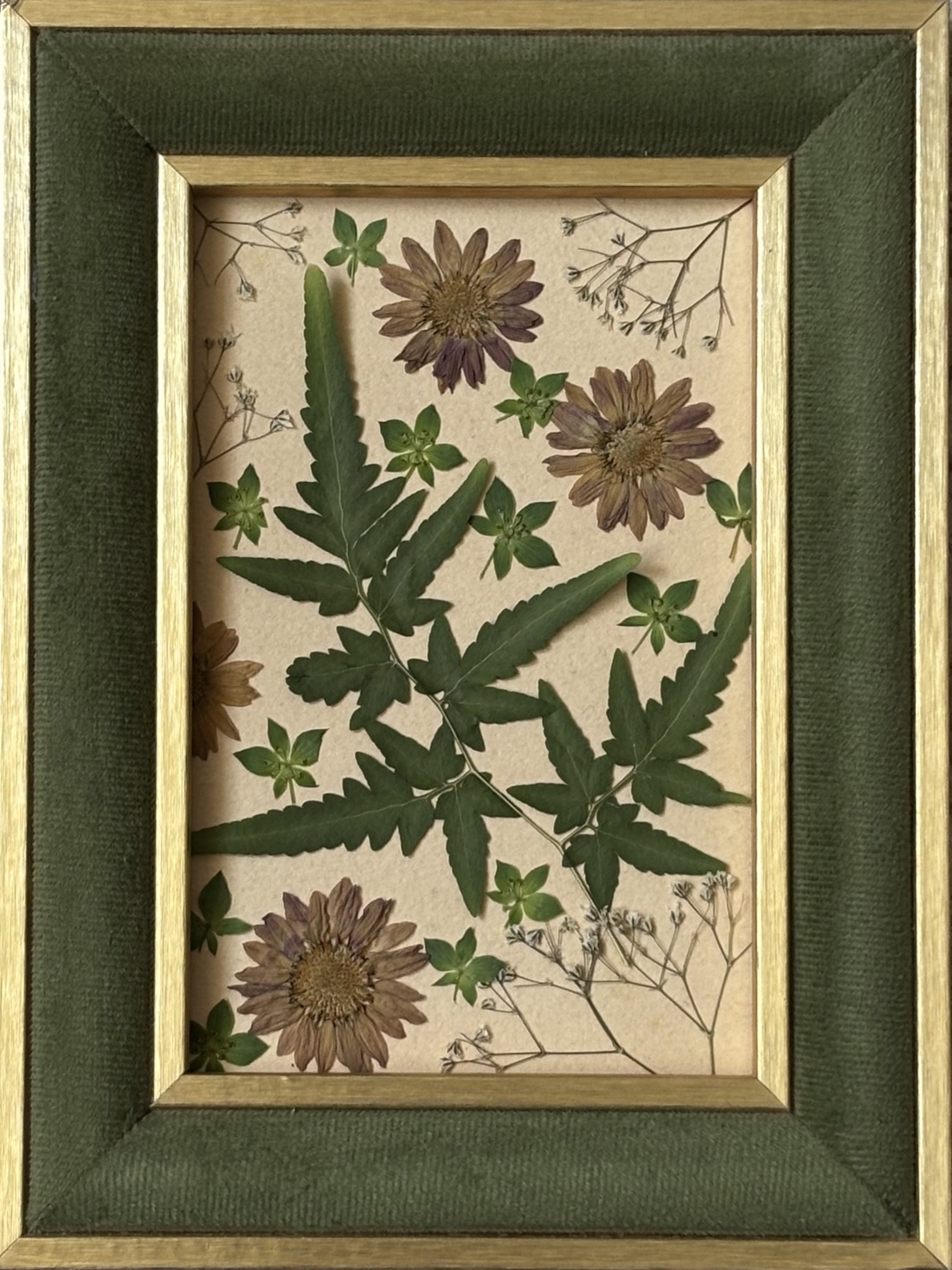 Tablou Botanic cu Flori Presate și Ramă din Catifea � Ediție Handmade 15x20 cm - casă & stil de viață - decorațiuni de casă - decorațiuni de masă și rafturi - suport de carte - Artynos.ro