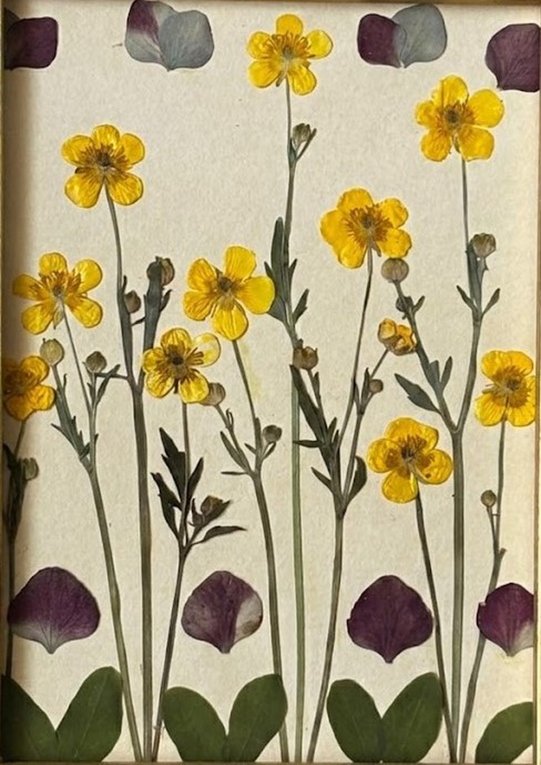 Tablou Botanic cu Flori Presate, Ramă Catifea Verde, 18x23 cm - casă & stil de viață - decorațiuni de casă - accesorii florale - buchete de flori - Artynos.ro