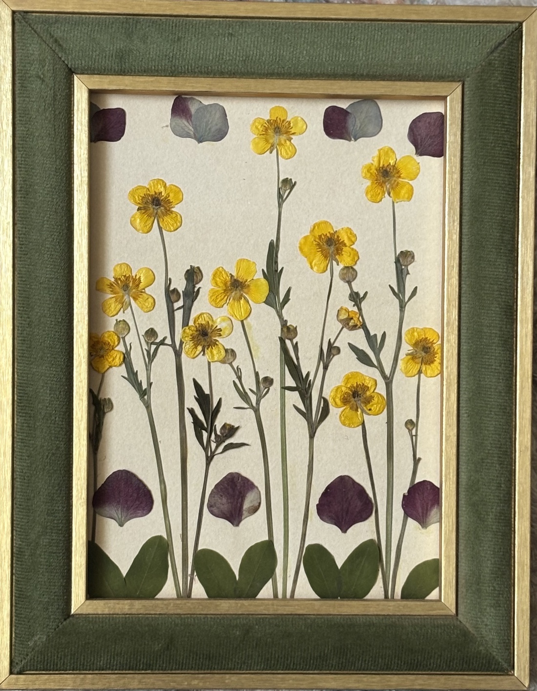 Tablou Botanic cu Flori Presate, Ramă Catifea Verde, 18x23 cm - casă & stil de viață - decorațiuni de casă - accesorii florale - buchete de flori - Artynos.ro