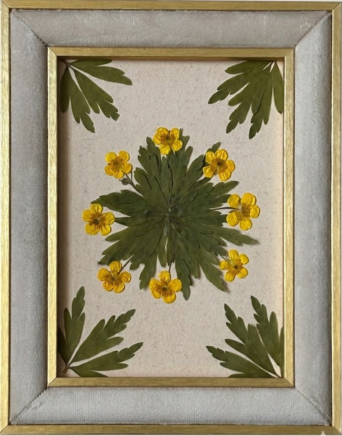 Tablou Botanic cu Flori Presate și Ramă din Catifea � Ediție Handmade 15x20 cm - casă & stil de viață - decorațiuni de casă - accesorii florale - buchete de flori - Artynos.ro