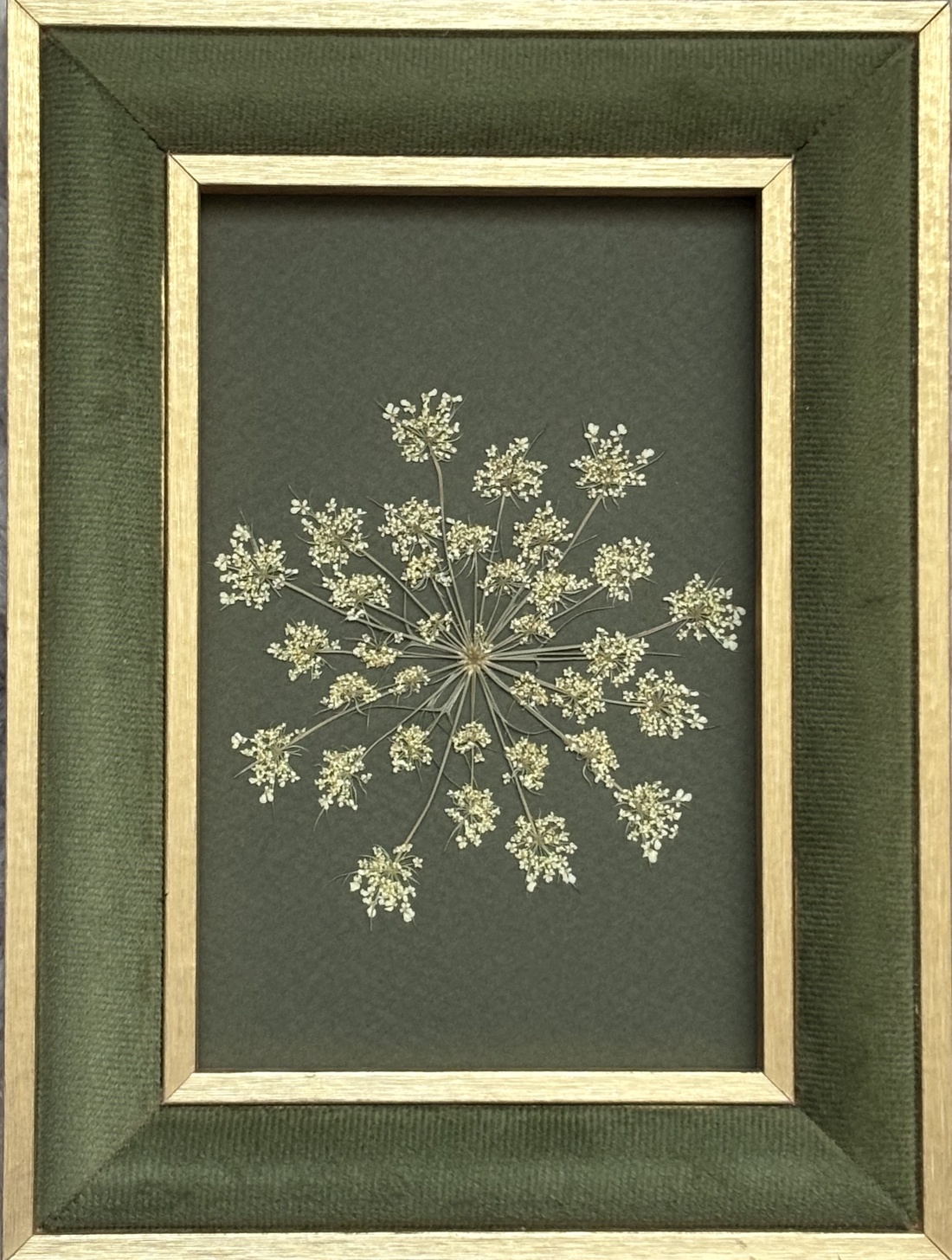 Tablou Handmade cu Plante Presate, Ramă Catifea Verde și Aurie, 15x20 cm - casă & stil de viață - decorațiuni de casă - accesorii florale - buchete de flori - Artynos.ro