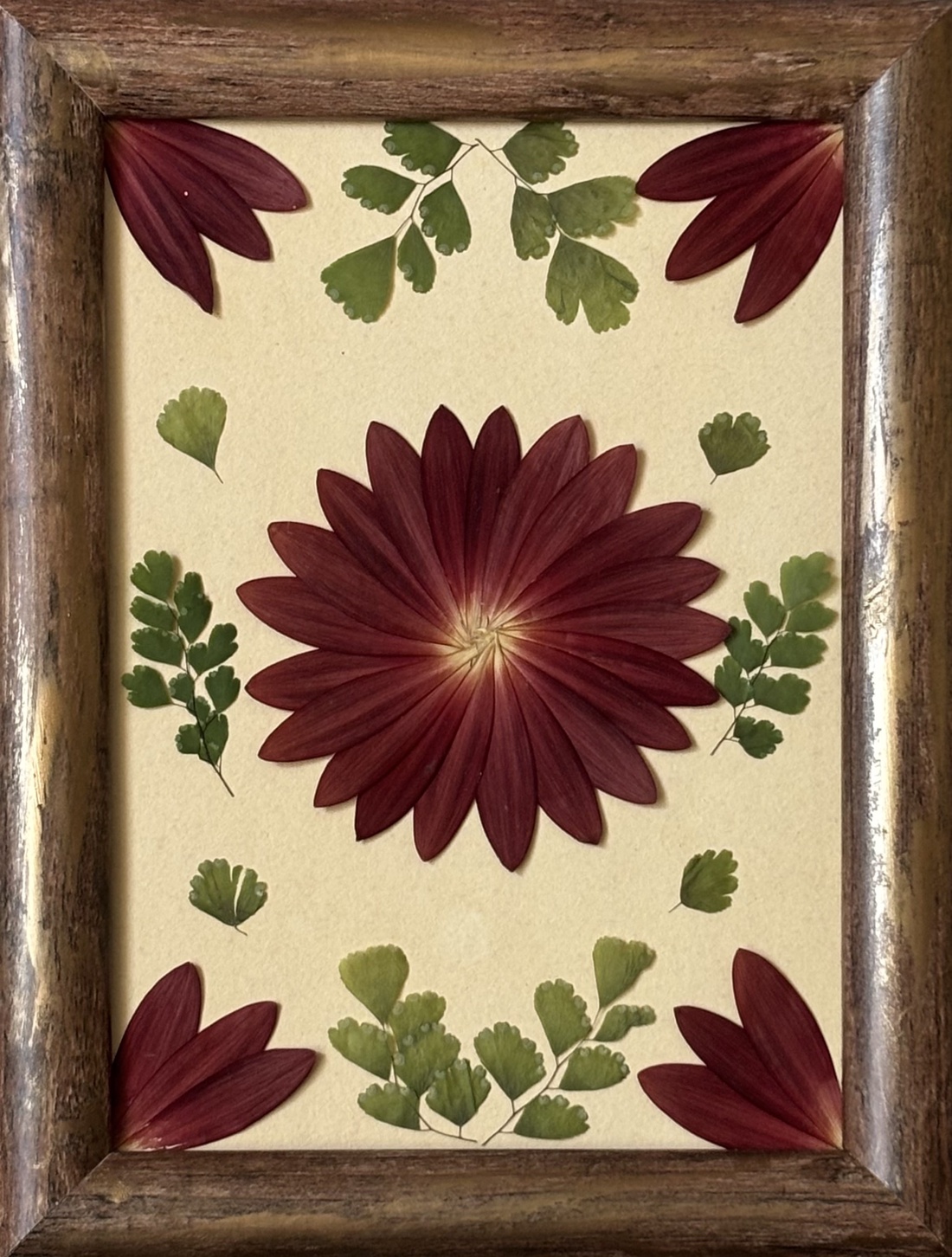 Tablou Botanic Minimalist � Flori Presate Bordeaux și Ferigă, Ramă  16x21 cm - casă & stil de viață - decorațiuni de casă - accesorii florale - buchete de flori - Artynos.ro