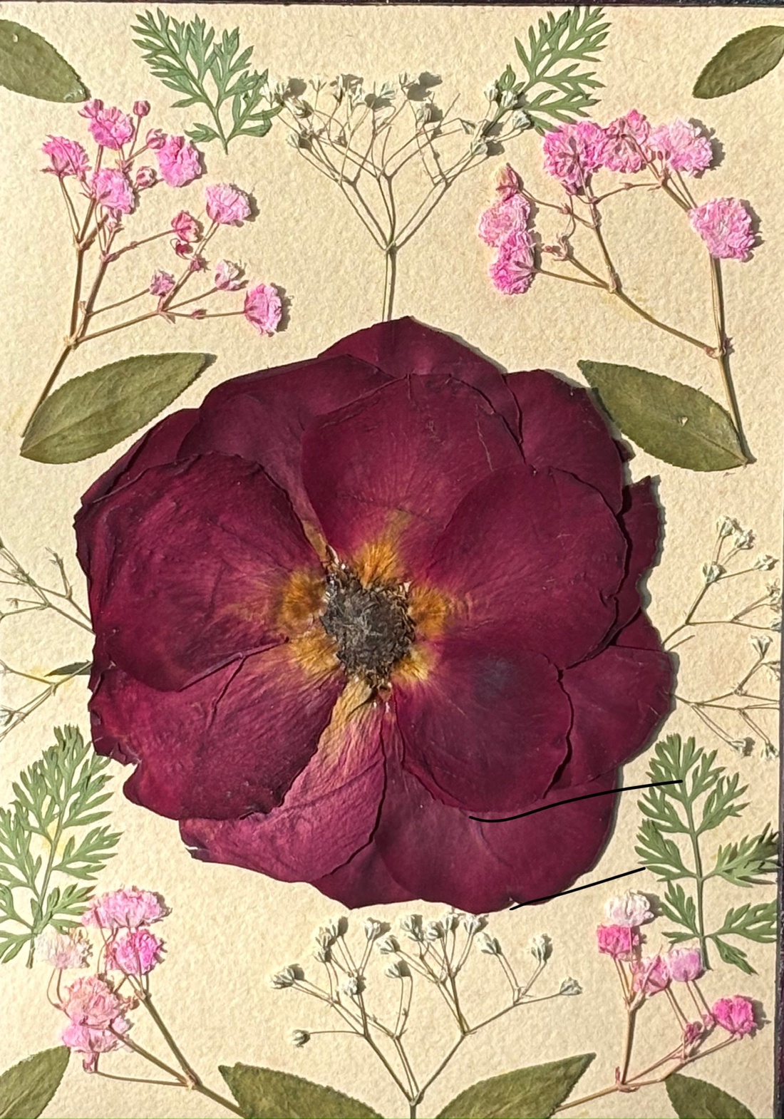 Tablou Botanic Handmade � Compoziție cu Trandafir Burgundy și Flori Presate - casă & stil de viață - decorațiuni de casă - accesorii florale - buchete de flori - Artynos.ro