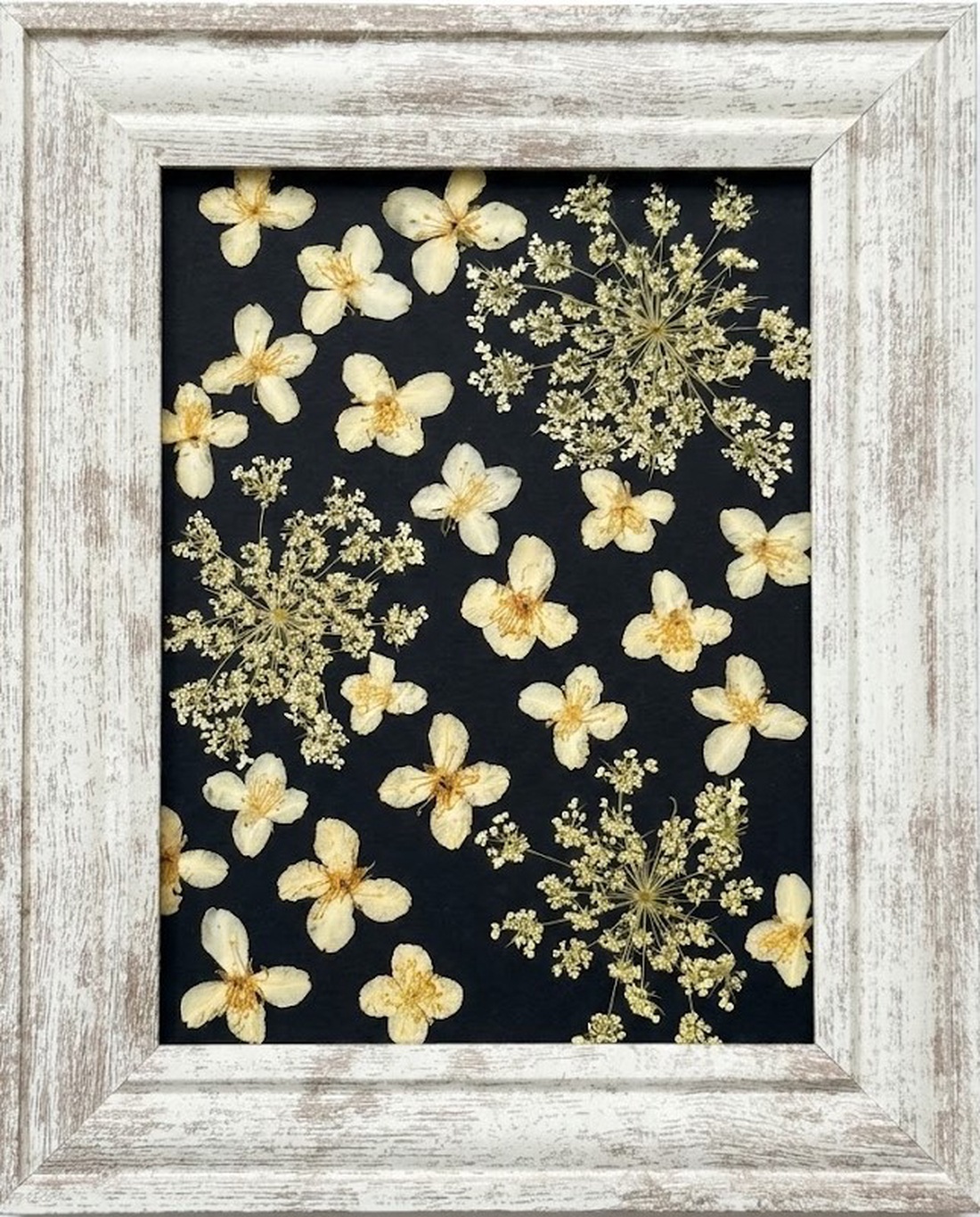 Tablou Botanic Contrast Floral � Flori Presate Manual - casă & stil de viață - decorațiuni de casă - accesorii florale - buchete de flori - Artynos.ro