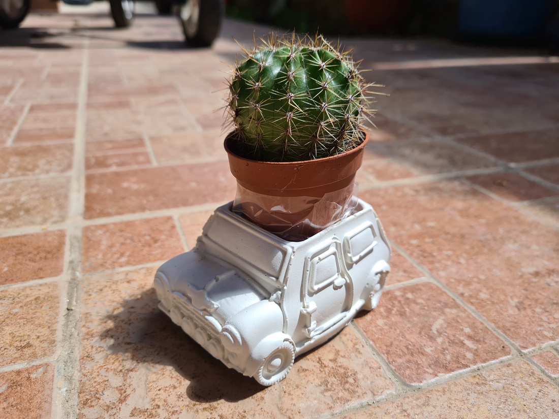 Set vaze ciment mașinuța, față, bufniță corp femeie - casă & stil de viață - accesorii pentru decorat casa - suport de flori - ghiveci și jardiniere - Artynos.ro Set vaze ciment mașinuța, față, bufniță corp femeie - casă & stil de viață - accesorii pentru decorat casa - suport de flori - ghiveci și jardiniere - Artynos.ro