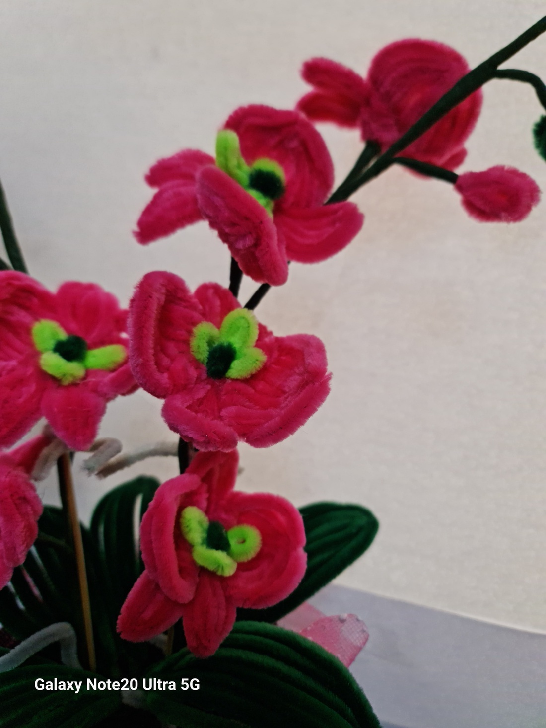 orhidee - casă & stil de viață - accesorii pentru decorat casa - suport de flori - buchete de flori - Artynos.ro