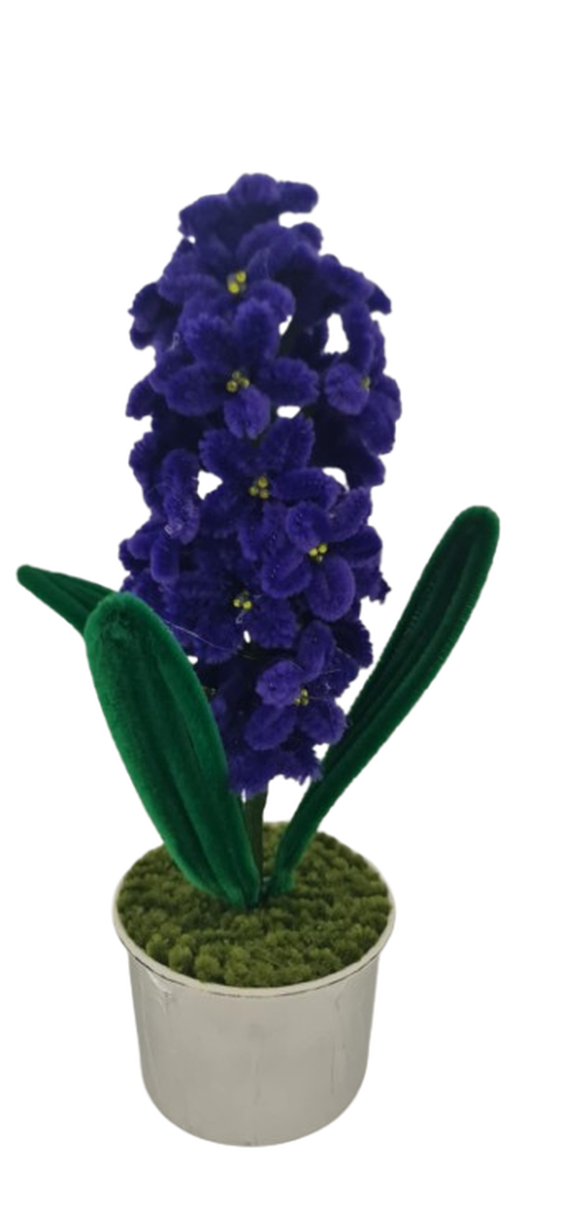 zambila  - casă & stil de viață - decorațiuni de casă - accesorii florale - flori în ghiveci - Artynos.ro