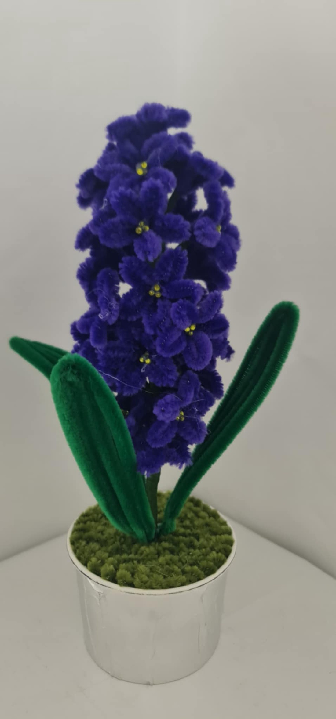 zambila  - casă & stil de viață - decorațiuni de casă - accesorii florale - flori în ghiveci - Artynos.ro