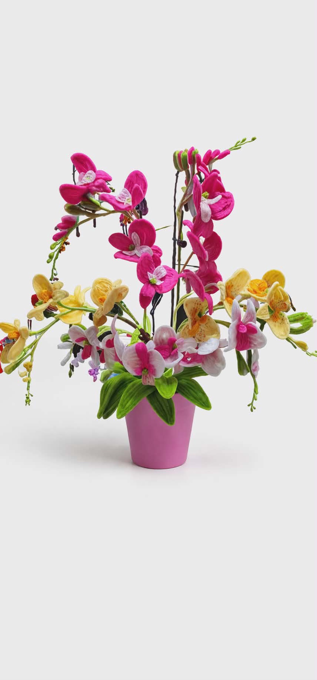 orhidee  - casă & stil de viață - decorațiuni de casă - accesorii florale - buchete de flori - Artynos.ro