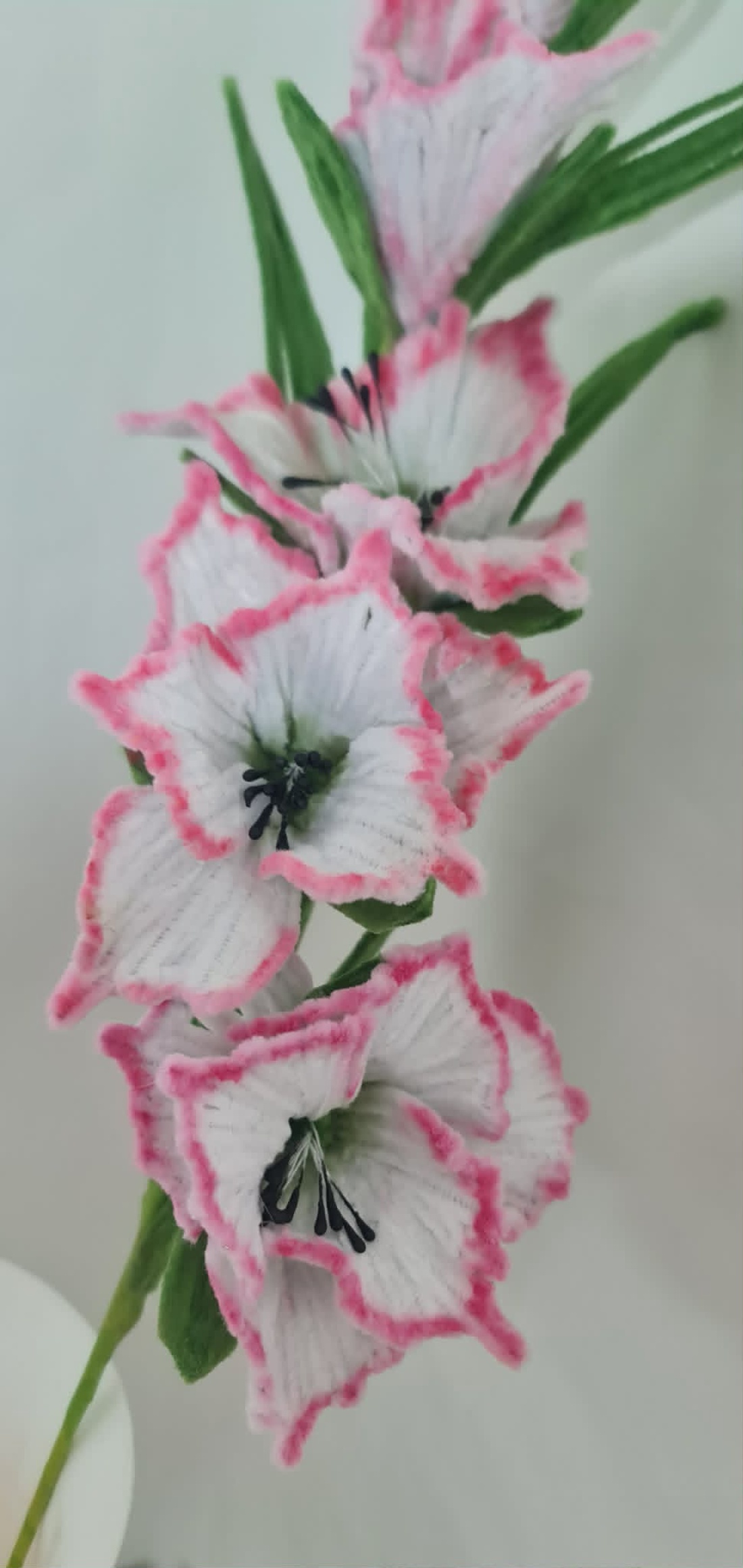 gladiole toate culorile - casă & stil de viață - decorațiuni de casă - accesorii florale - flori la fir - Artynos.ro