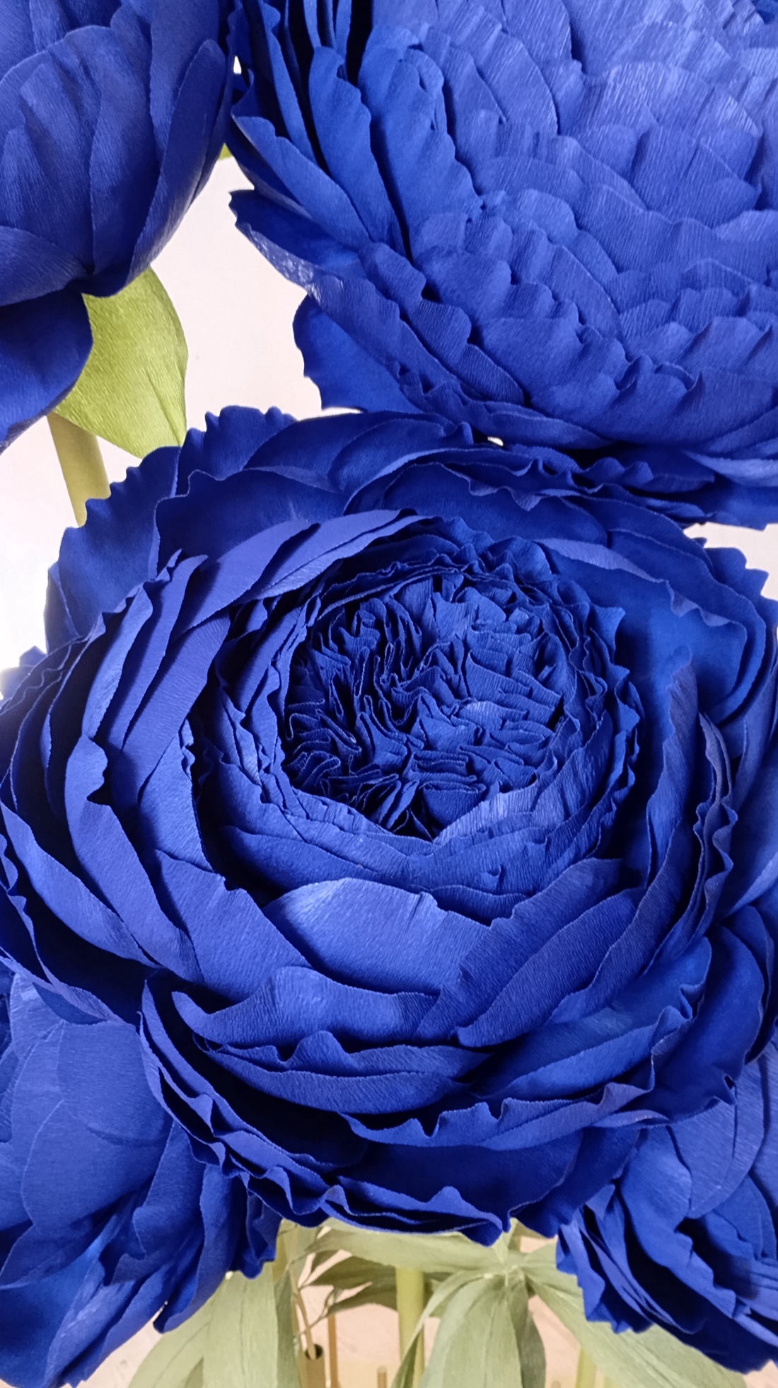 Bujori giganti din hârtie floristica - casă & stil de viață - accesorii pentru decorat casa - suport de flori - accesorii florale - Artynos.ro