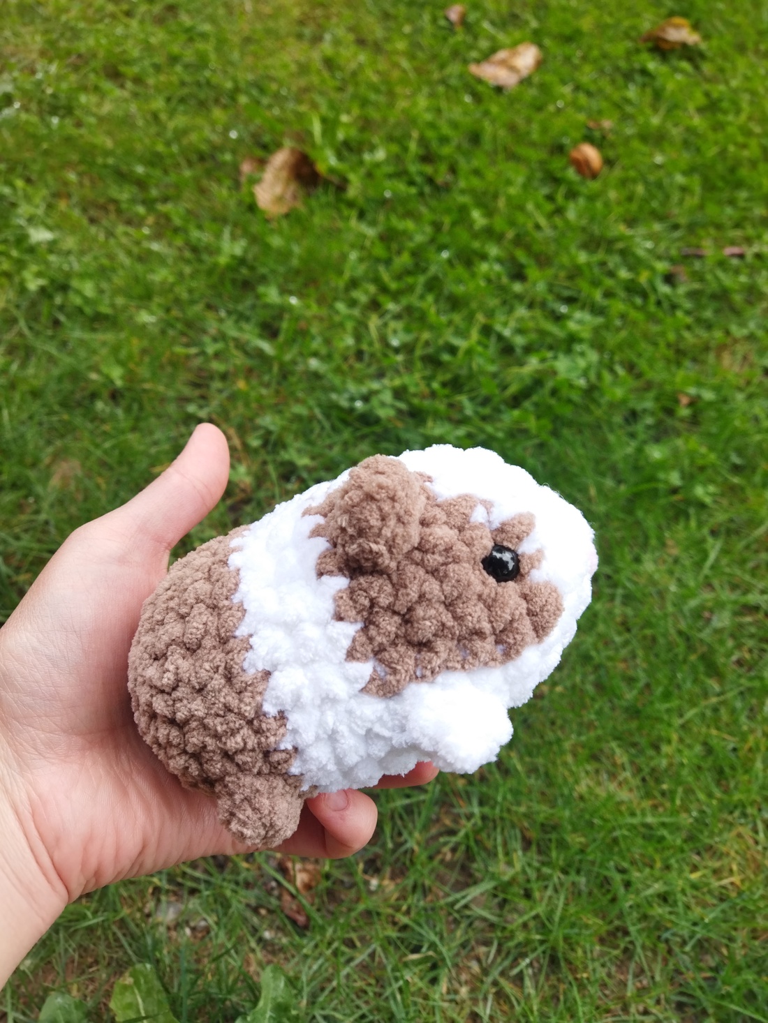 Cobai  - jucării și echipamente pentru copii - plușuri - figurine de pluș - Artynos.ro