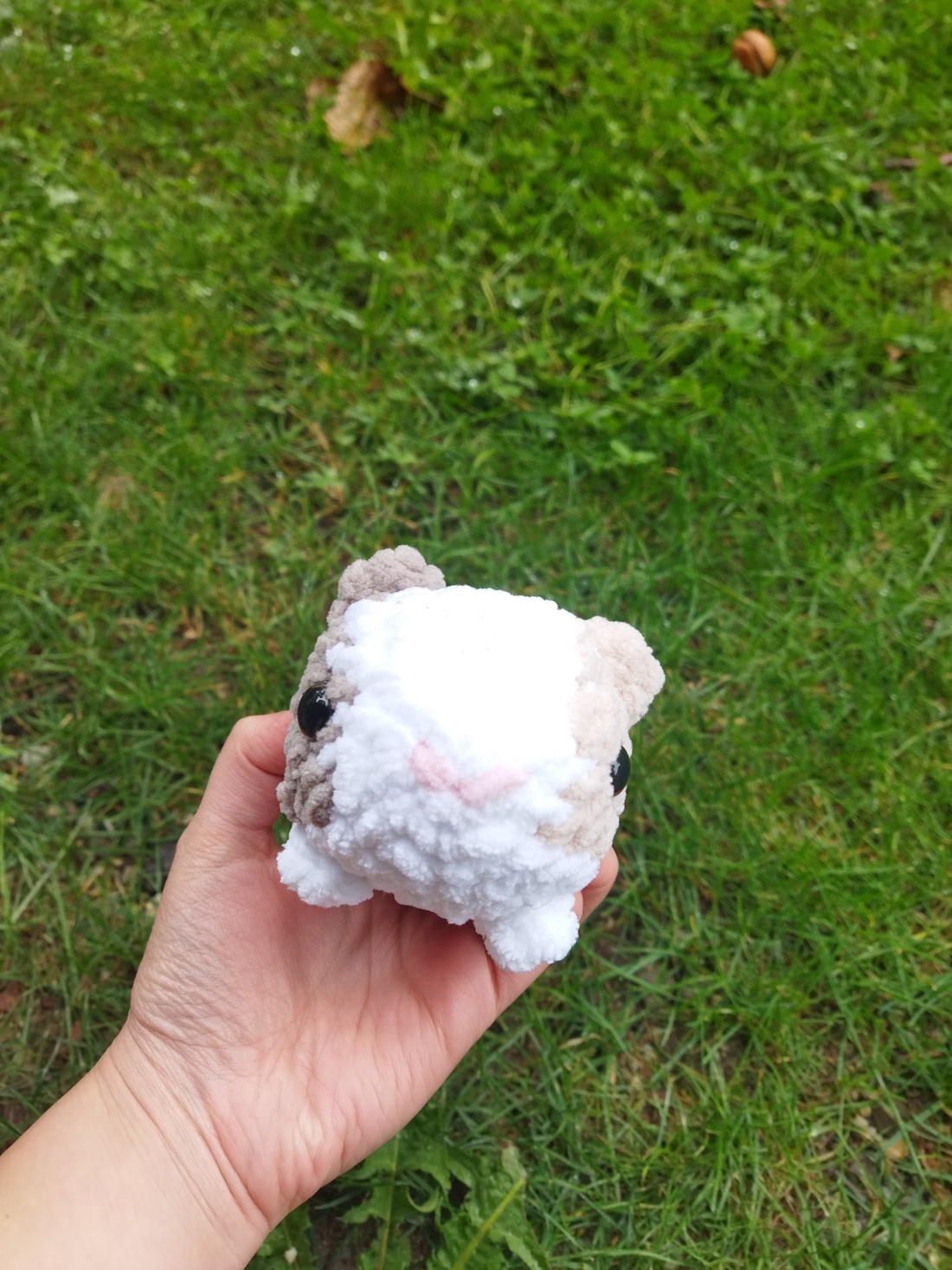 Cobai  - jucării și echipamente pentru copii - plușuri - figurine de pluș - Artynos.ro