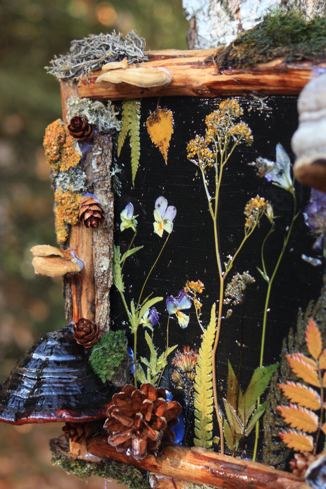 Tablou Natural Licheni Mușchi Flori - casă & stil de viață - accesorii pentru decorat casa - decorațiuni de pereți, decorațiuni suspendate - tablou cu licheni - Artynos.ro