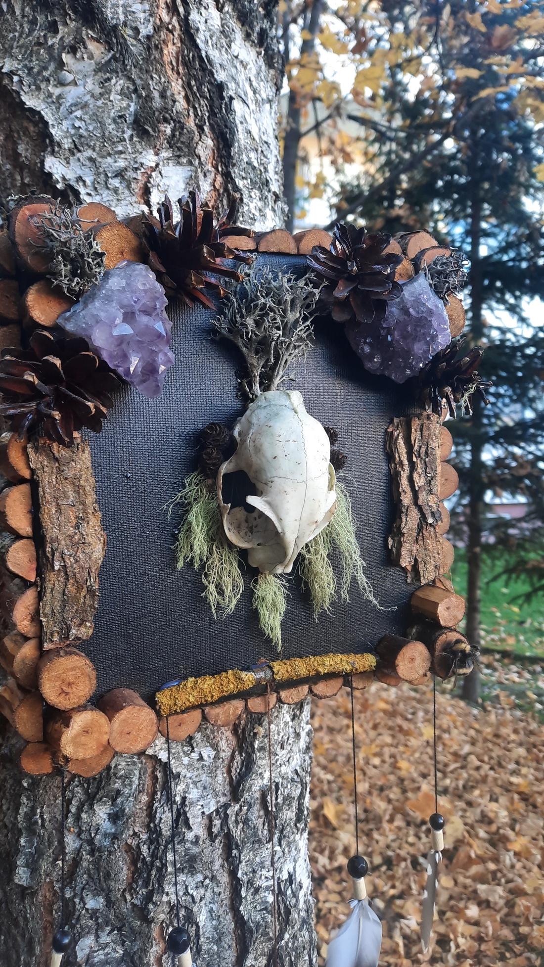 Tablou Natural Licheni Mușchi SkullArt - casă & stil de viață - accesorii pentru decorat casa - decorațiuni de pereți, decorațiuni suspendate - tablou cu licheni - Artynos.ro Tablou Natural Licheni Mușchi SkullArt - casă & stil de viață - accesorii pentru decorat casa - decorațiuni de pereți, decorațiuni suspendate - tablou cu licheni - Artynos.ro