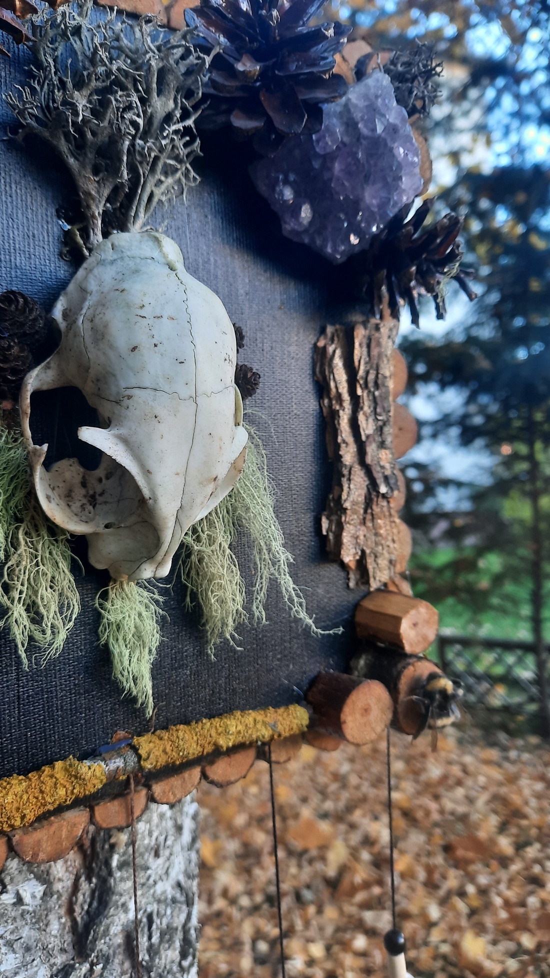 Tablou Natural Licheni Mușchi SkullArt - casă & stil de viață - accesorii pentru decorat casa - decorațiuni de pereți, decorațiuni suspendate - tablou cu licheni - Artynos.ro Tablou Natural Licheni Mușchi SkullArt - casă & stil de viață - accesorii pentru decorat casa - decorațiuni de pereți, decorațiuni suspendate - tablou cu licheni - Artynos.ro