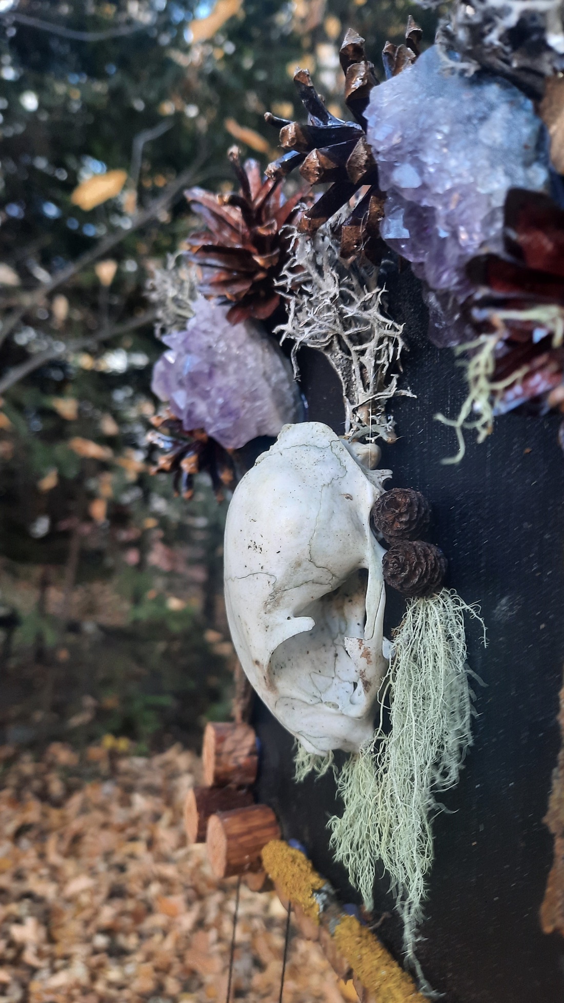 Tablou Natural Licheni Mușchi SkullArt - casă & stil de viață - accesorii pentru decorat casa - decorațiuni de pereți, decorațiuni suspendate - tablou cu licheni - Artynos.ro Tablou Natural Licheni Mușchi SkullArt - casă & stil de viață - accesorii pentru decorat casa - decorațiuni de pereți, decorațiuni suspendate - tablou cu licheni - Artynos.ro