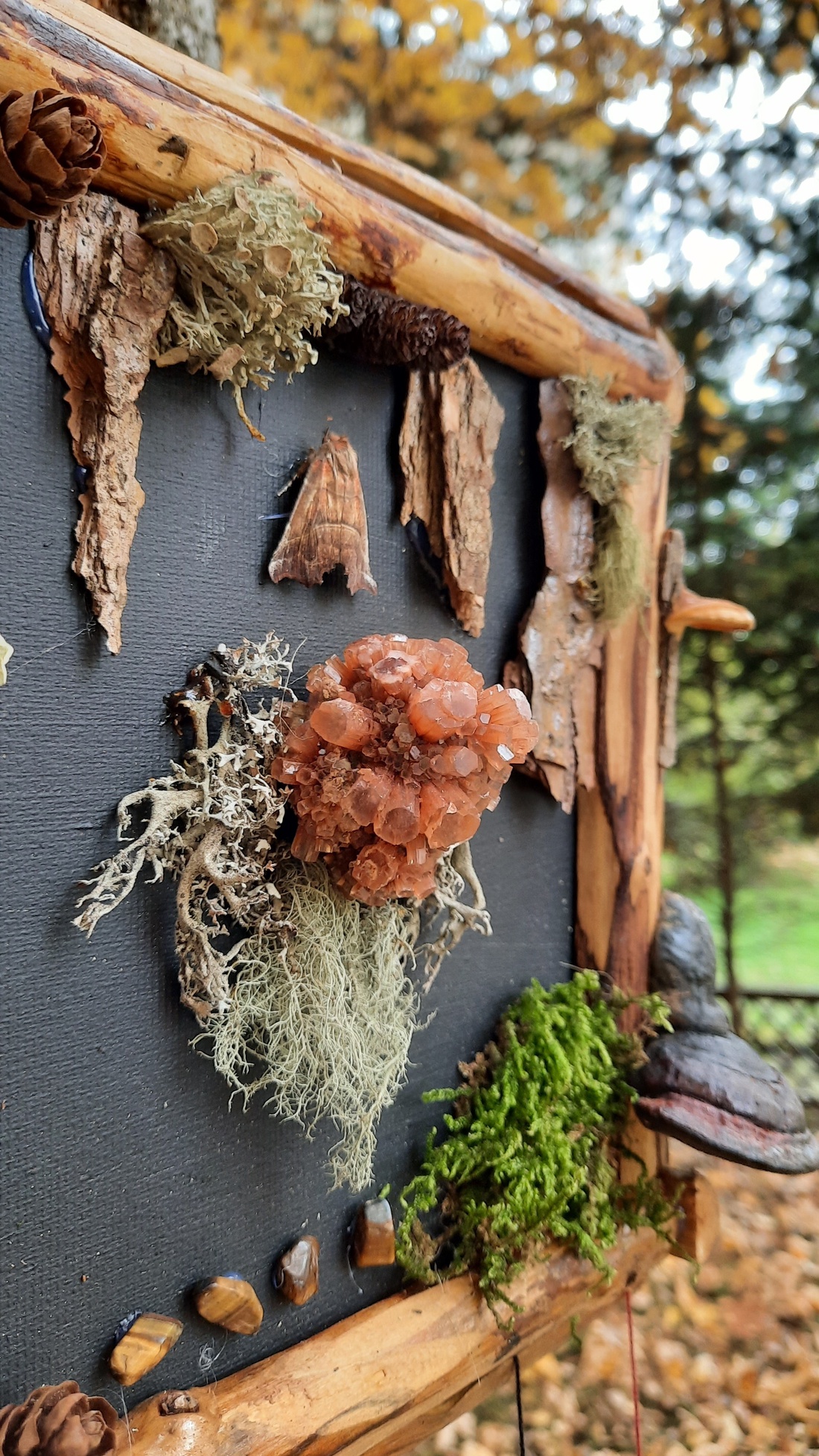 Tablou Natural Licheni Mușchi Aragonitul - casă & stil de viață - accesorii pentru decorat casa - decorațiuni de pereți, decorațiuni suspendate - tablou cu licheni - Artynos.ro