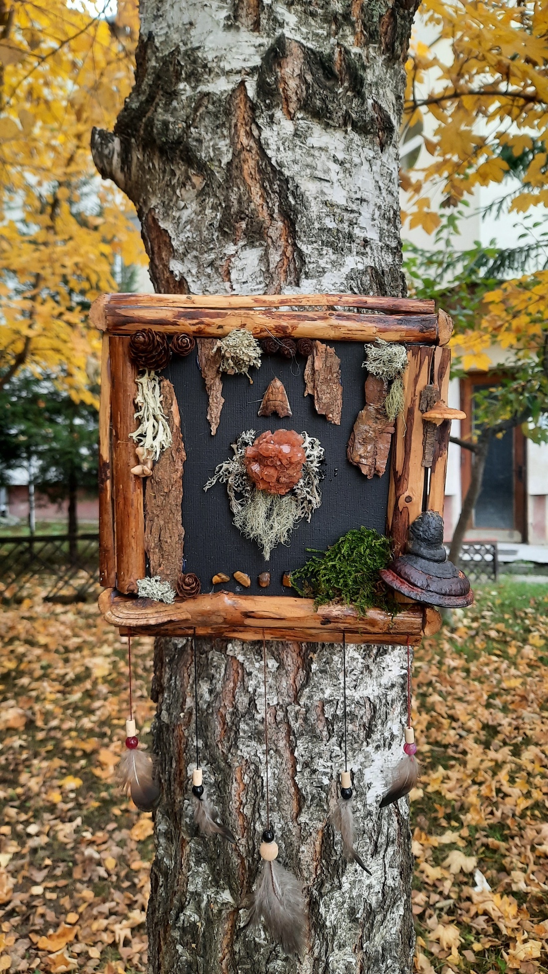 Tablou Natural Licheni Mușchi Aragonitul - casă & stil de viață - accesorii pentru decorat casa - decorațiuni de pereți, decorațiuni suspendate - tablou cu licheni - Artynos.ro