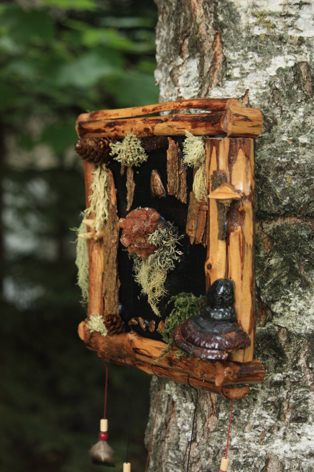 Tablou Natural Licheni Mușchi Aragonitul - casă & stil de viață - accesorii pentru decorat casa - decorațiuni de pereți, decorațiuni suspendate - tablou cu licheni - Artynos.ro