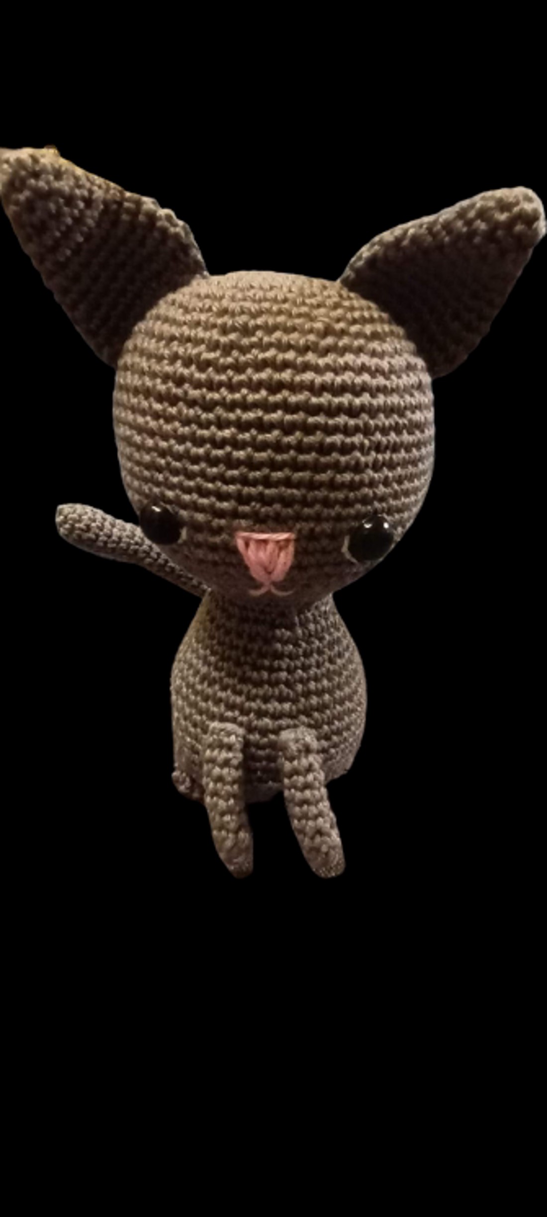 Pisoi gri -  - Artynos.ro