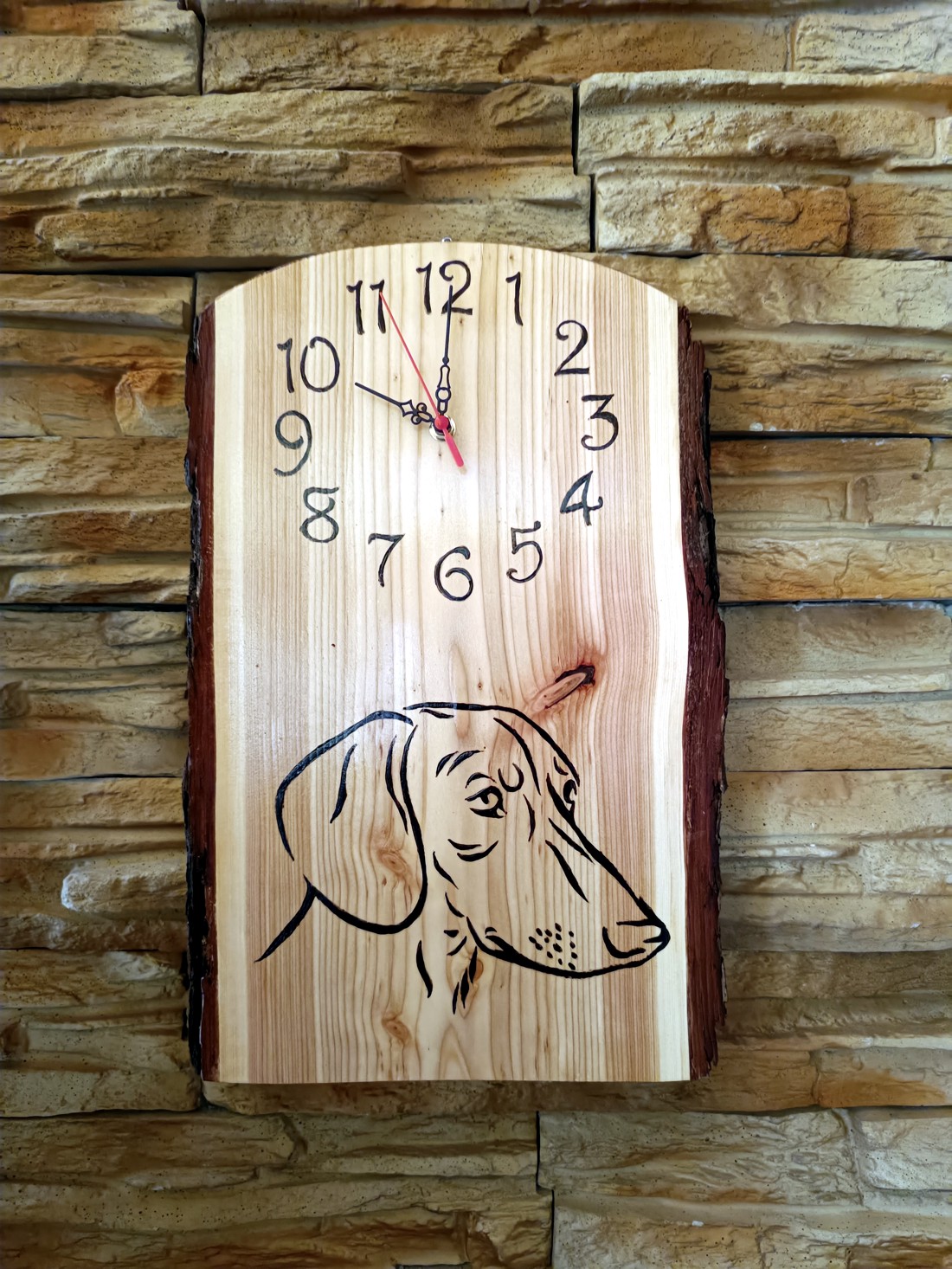 Ceas de perete mare din lemn cu câine dachshund - - Artynos.ro Ceas de perete mare din lemn cu câine dachshund - - Artynos.ro