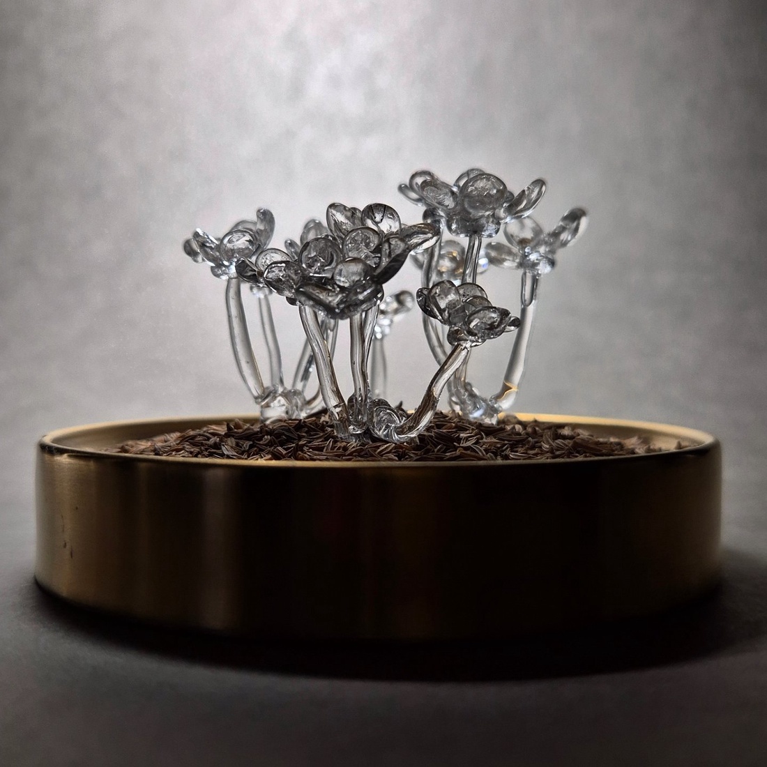 Carum Carvi - casă & stil de viață - accesorii pentru decorat casa - decorațiuni de masă și decorațiuni pentru rafturi  - decorațiuni de masă - Artynos.ro