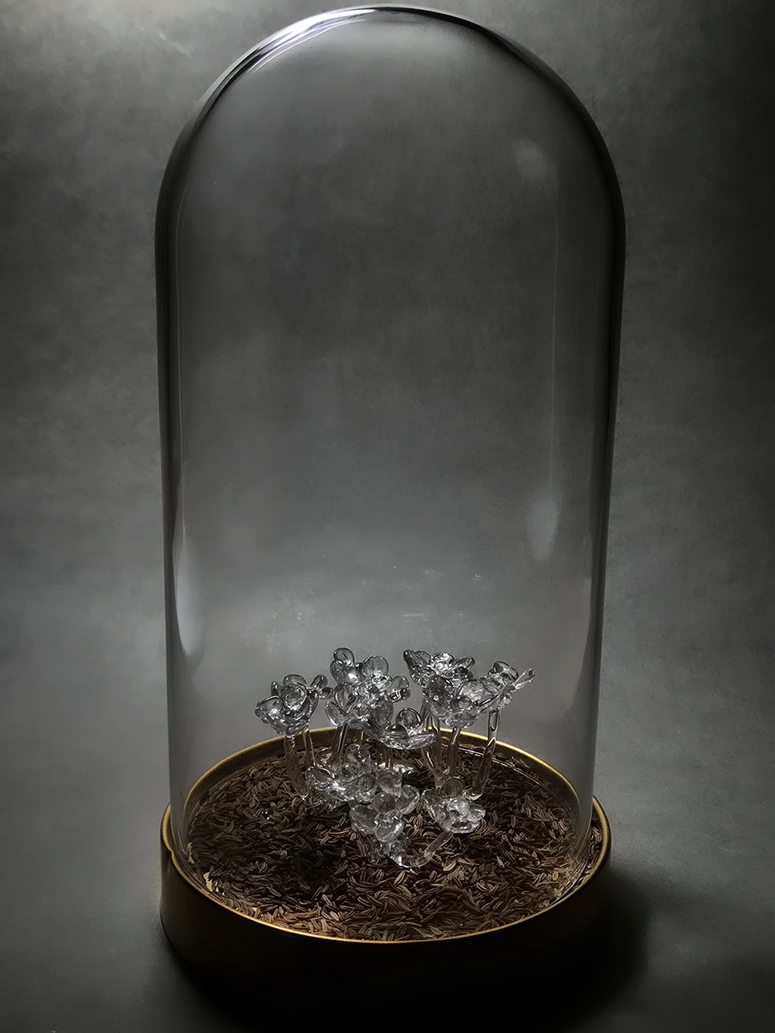 Carum Carvi - casă & stil de viață - accesorii pentru decorat casa - decorațiuni de masă și decorațiuni pentru rafturi  - decorațiuni de masă - Artynos.ro