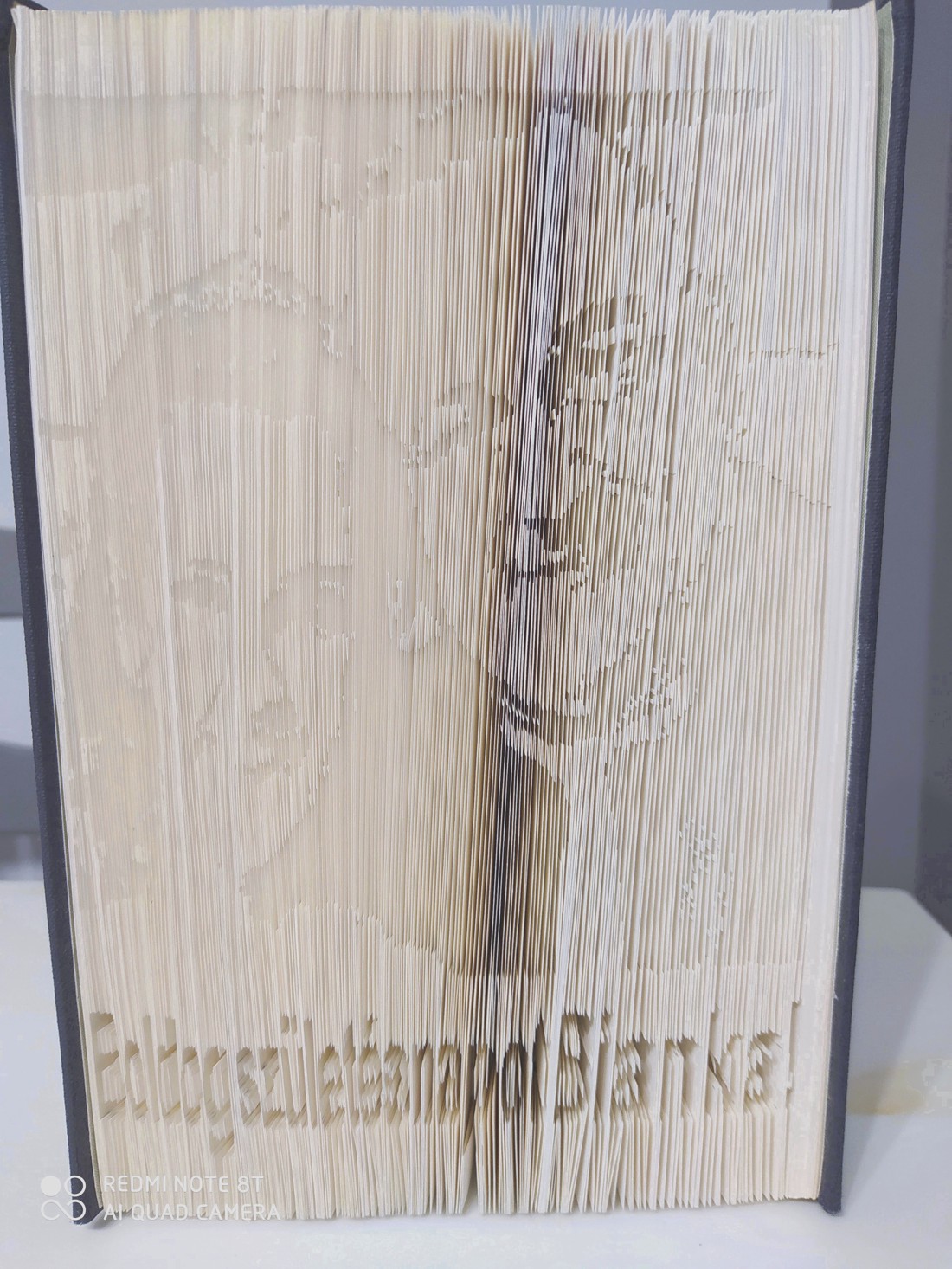 Portret cu 2 fețe și sculptură ca la carte - casă & stil de viață - accesorii pentru decorat casa - decorațiuni de masă și decorațiuni pentru rafturi  - sculptură de carte, carte pliată - Artynos.ro