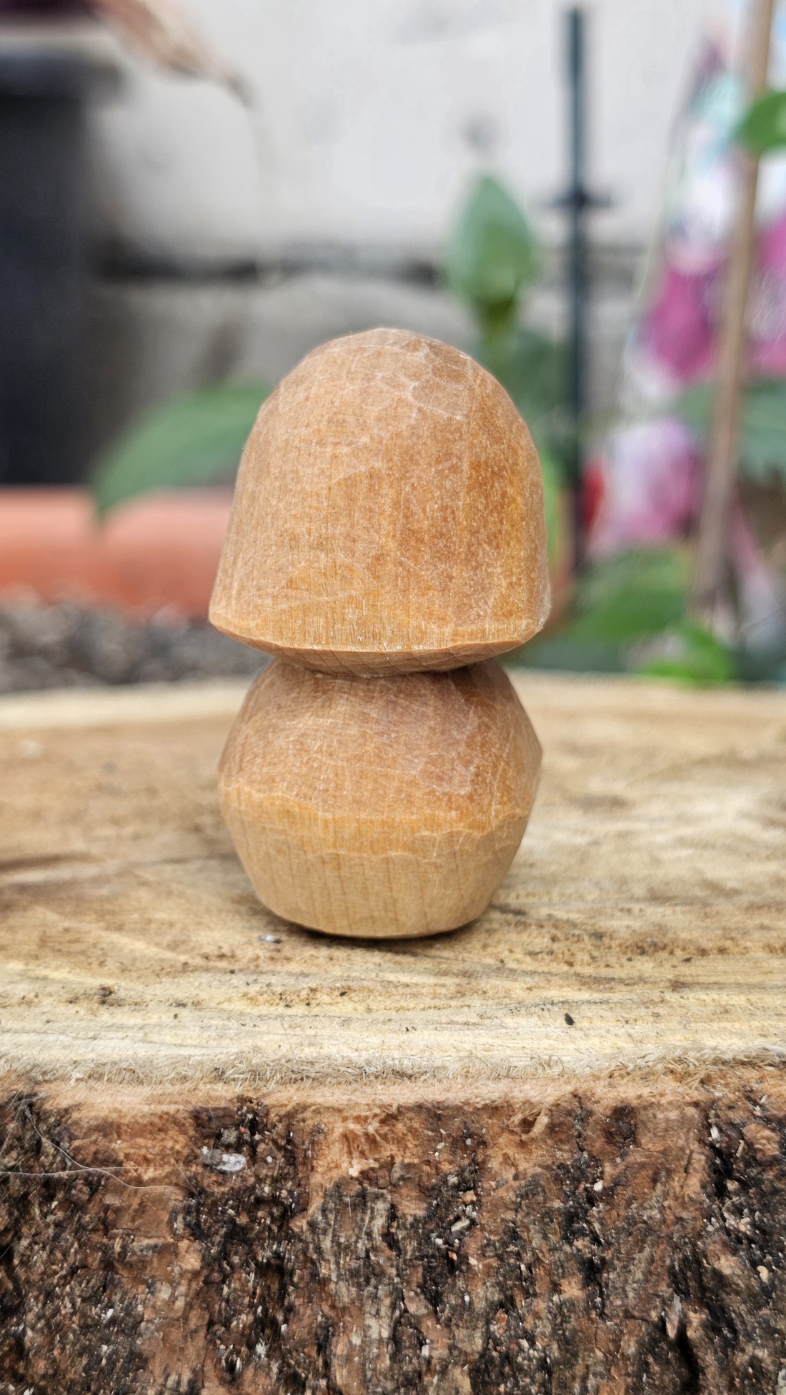 Simple 'shroom - arte vizuale și accesorii  - sculptură - statuie lemn - Artynos.ro