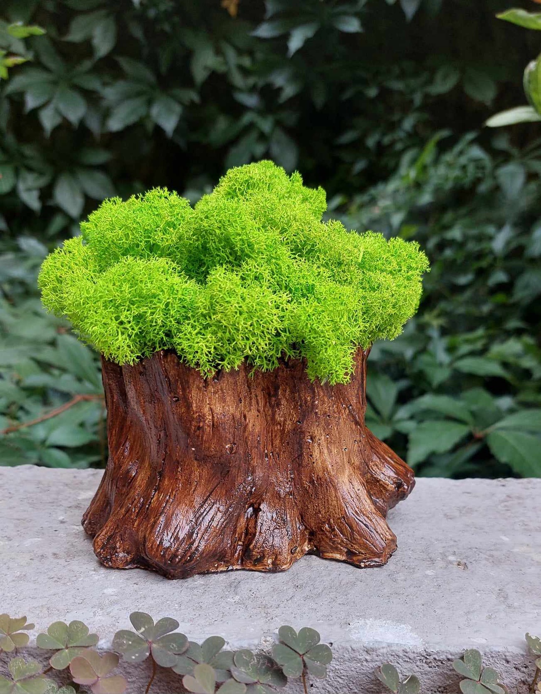 Aranjament cu licheni Buturuga - casă & stil de viață - decorațiuni de casă - accesorii florale - flori în ghiveci - Artynos.ro