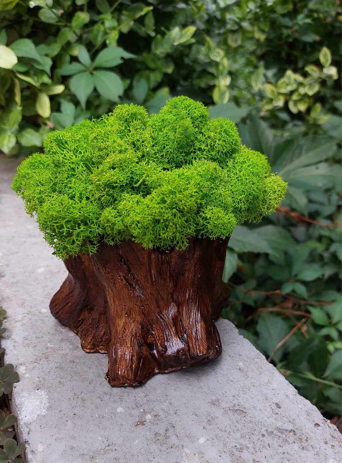 Aranjament cu licheni Buturuga - casă & stil de viață - decorațiuni de casă - accesorii florale - flori în ghiveci - Artynos.ro