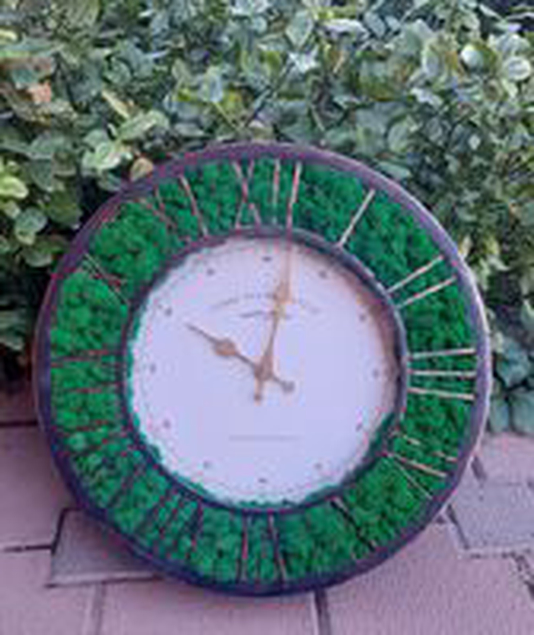 Ceas cu licheni - casă & stil de viață - decorațiuni de casă - decorațiuni de pereți - ceasuri de perete - Artynos.ro