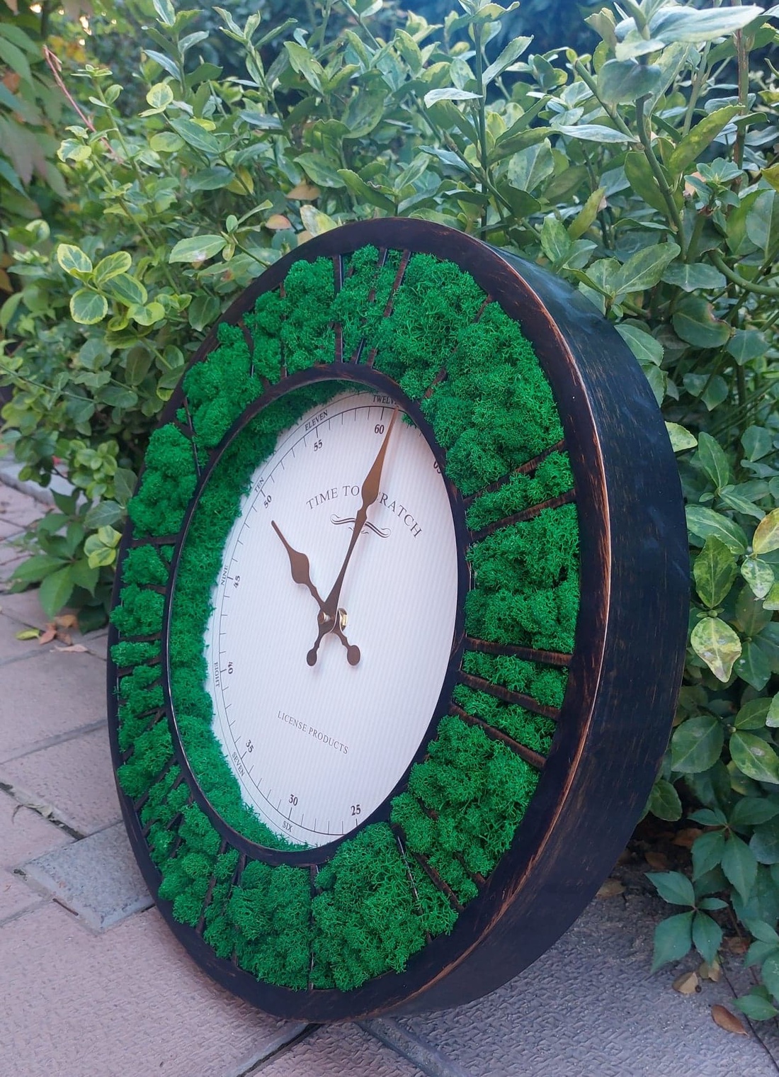 Ceas cu licheni - casă & stil de viață - decorațiuni de casă - decorațiuni de pereți - ceasuri de perete - Artynos.ro