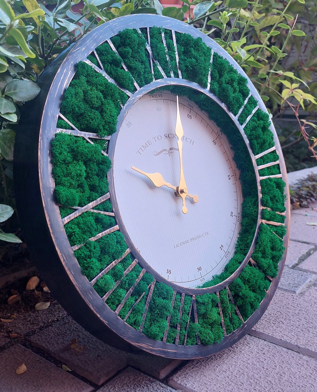 Ceas cu licheni - casă & stil de viață - decorațiuni de casă - decorațiuni de pereți - ceasuri de perete - Artynos.ro