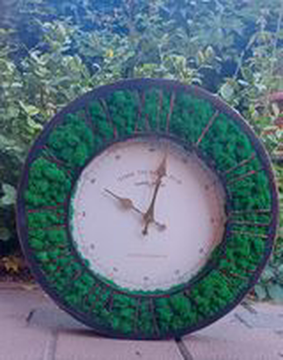 Ceas cu licheni - casă & stil de viață - decorațiuni de casă - decorațiuni de pereți - ceasuri de perete - Artynos.ro