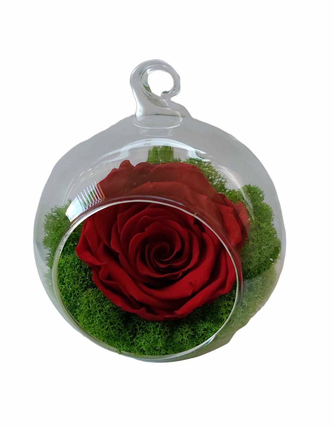 Trandafir criogenat in glob de sticla - casă & stil de viață - decorațiuni de casă - accesorii florale - cutii cu flori - Artynos.ro