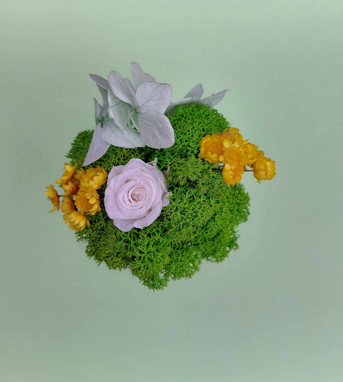 Martisor cu trandafir criogenat si licheni - bijuterii - mărțișor - Artynos.ro