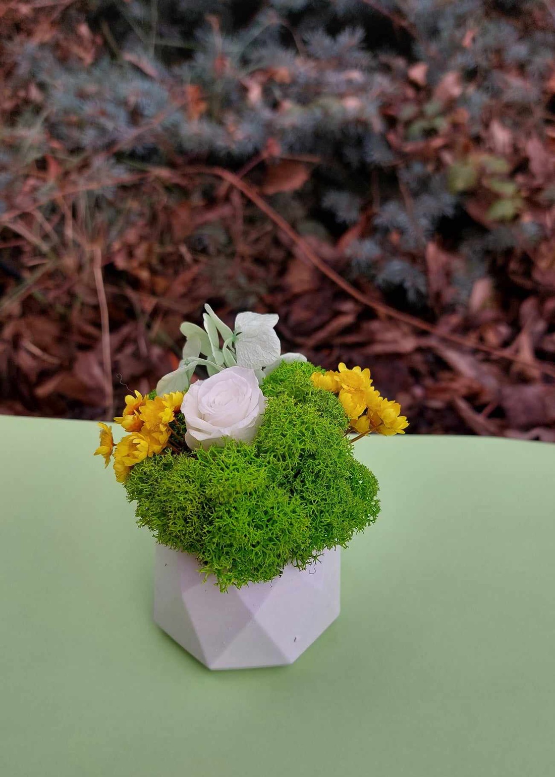 Martisor cu trandafir criogenat si licheni - bijuterii - mărțișor - Artynos.ro