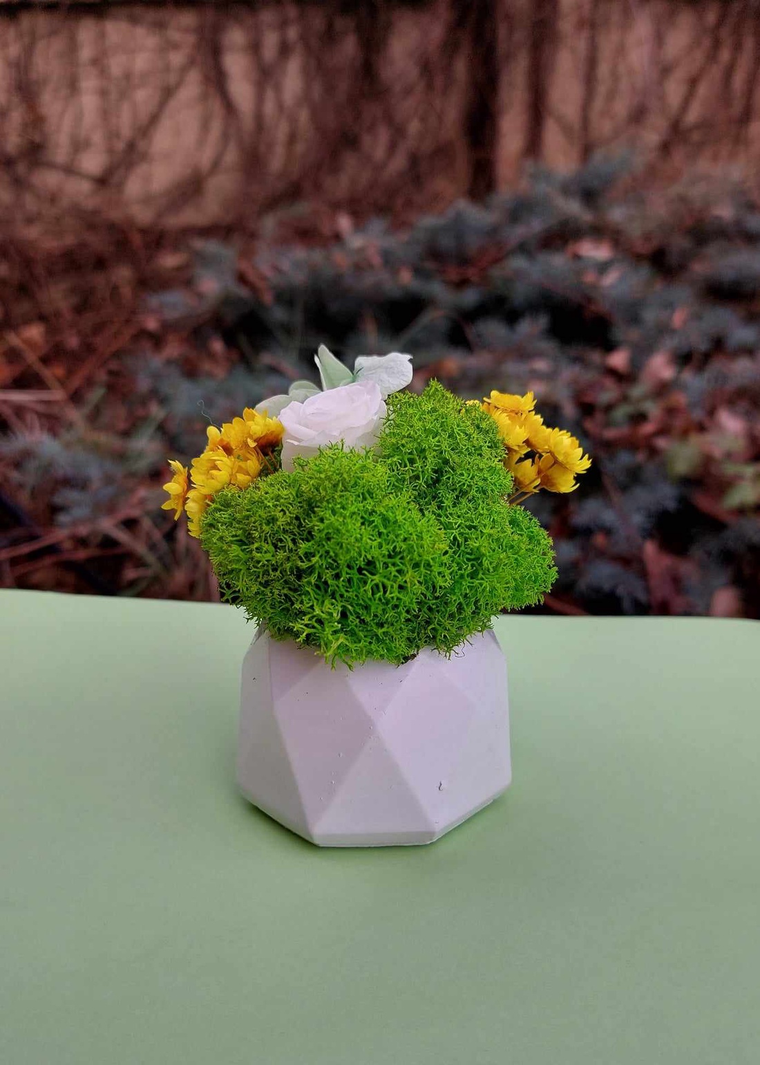 Martisor cu trandafir criogenat si licheni - bijuterii - mărțișor - Artynos.ro