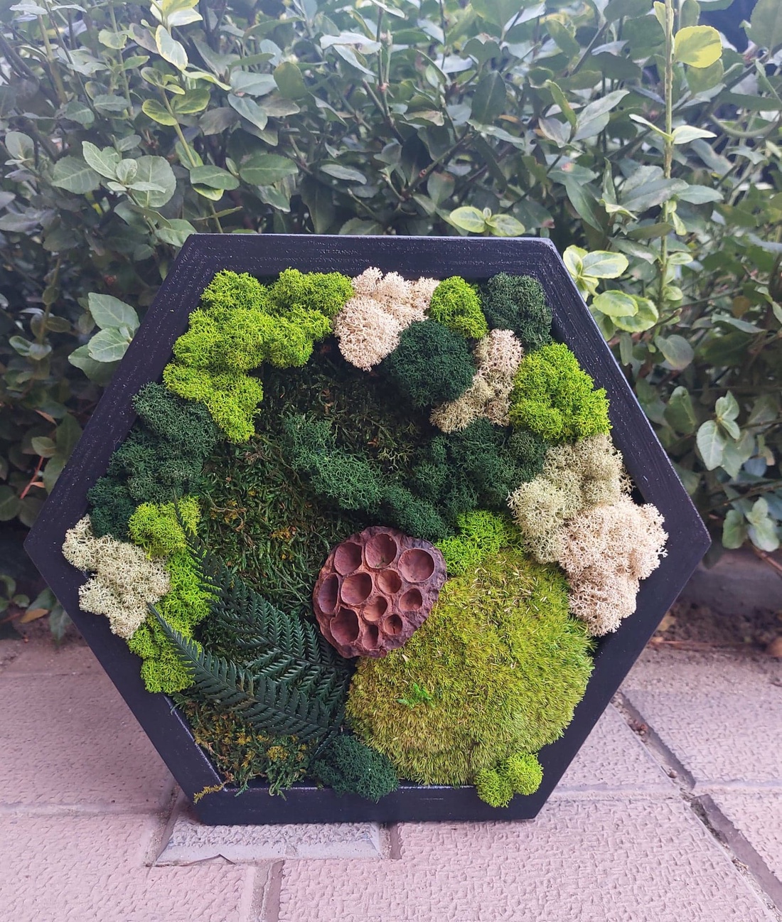 Tablou Hexagonal, cu licheni si muschi stabilizati, 32x27 cm - casă & stil de viață - decorațiuni de casă - decorațiuni de pereți - tablou cu licheni - Artynos.ro