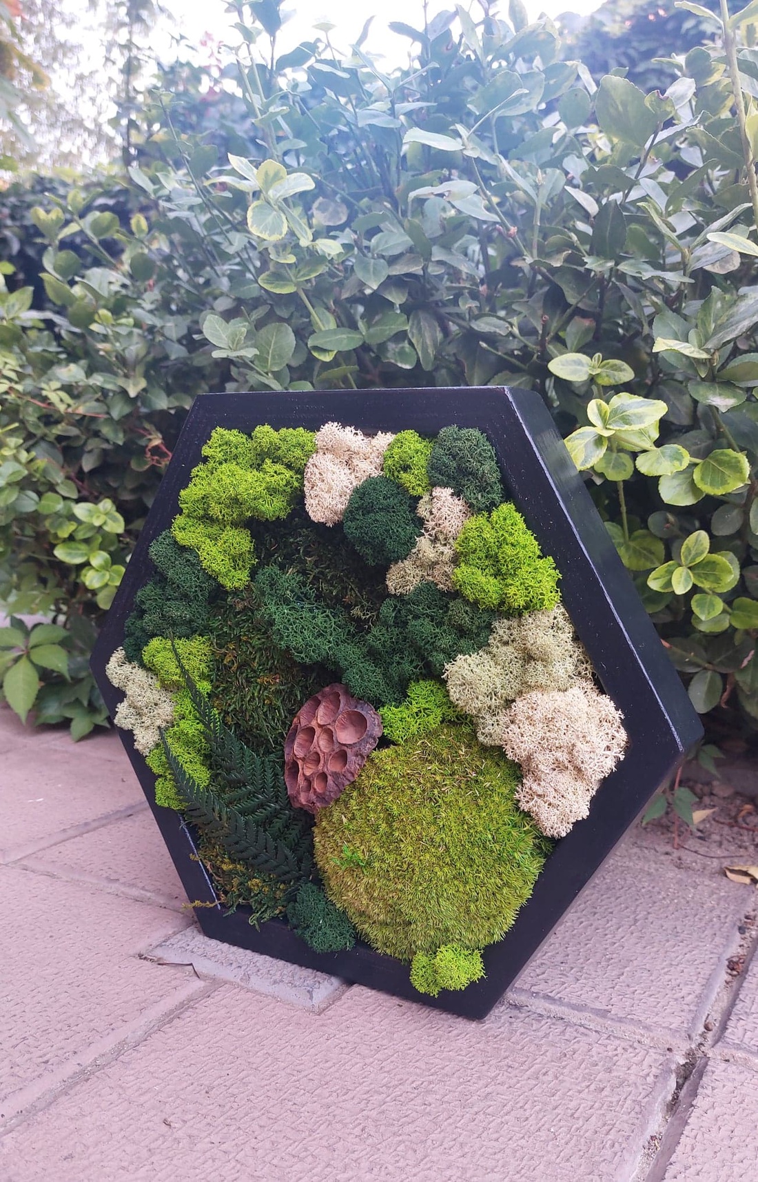 Tablou Hexagonal, cu licheni si muschi stabilizati, 32x27 cm - casă & stil de viață - decorațiuni de casă - decorațiuni de pereți - tablou cu licheni - Artynos.ro