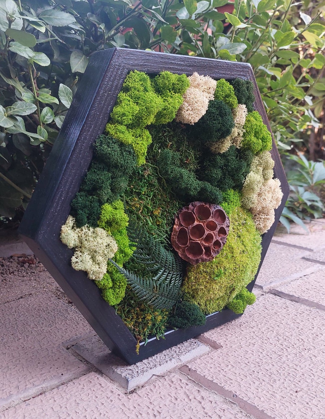 Tablou Hexagonal, cu licheni si muschi stabilizati, 32x27 cm - casă & stil de viață - decorațiuni de casă - decorațiuni de pereți - tablou cu licheni - Artynos.ro