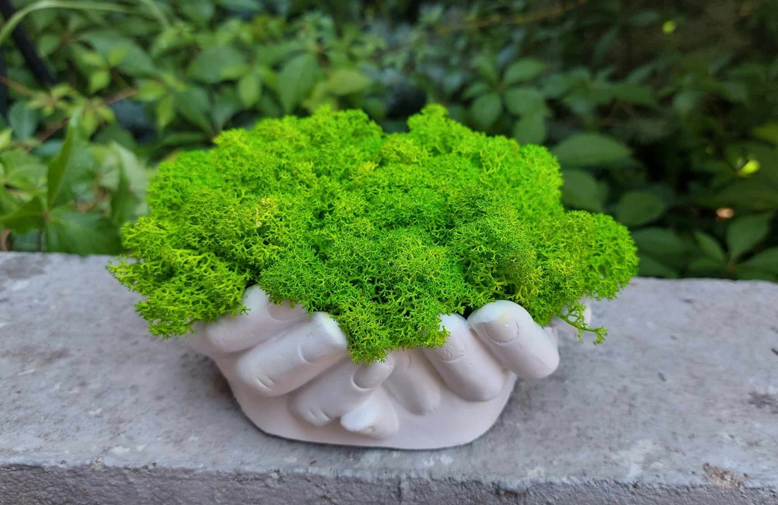 Aranjament, ghiveci decorativ Maini, cu licheni naturali - casă & stil de viață - decorațiuni de casă - accesorii florale - flori în ghiveci - Artynos.ro