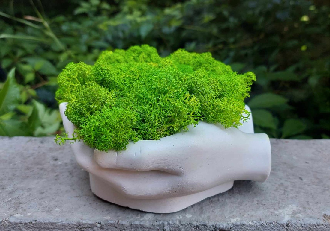 Aranjament, ghiveci decorativ Maini, cu licheni naturali - casă & stil de viață - decorațiuni de casă - accesorii florale - flori în ghiveci - Artynos.ro