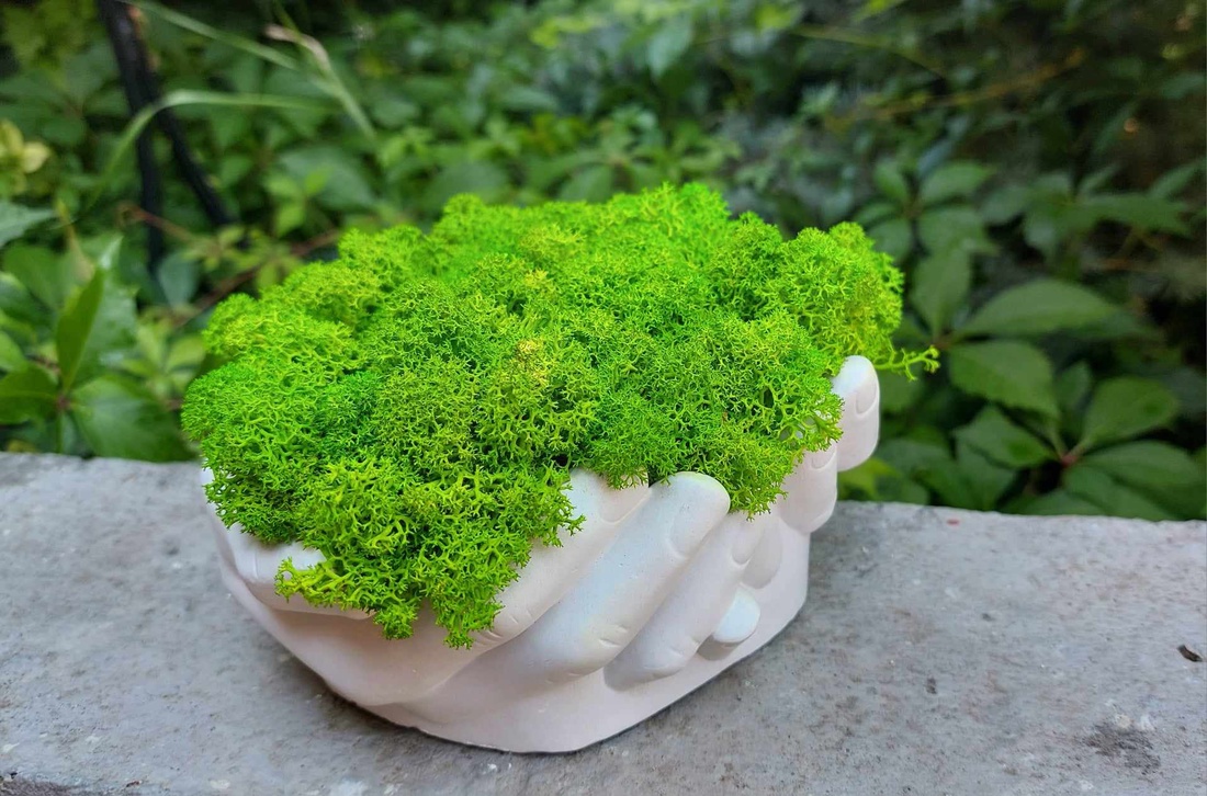 Aranjament, ghiveci decorativ Maini, cu licheni naturali - casă & stil de viață - decorațiuni de casă - accesorii florale - flori în ghiveci - Artynos.ro